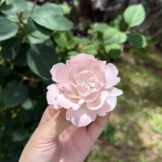 Peony Fridge Magnet-Dehua Intangible Cultural Heritage Porcelain Flower