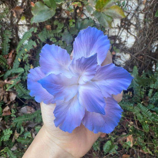 Iris Fridge Magnet-Dehua Intangible Cultural Heritage Porcelain Flower